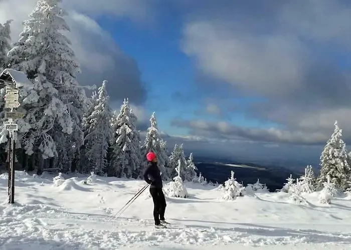 Фермерский дом Bobrowniki