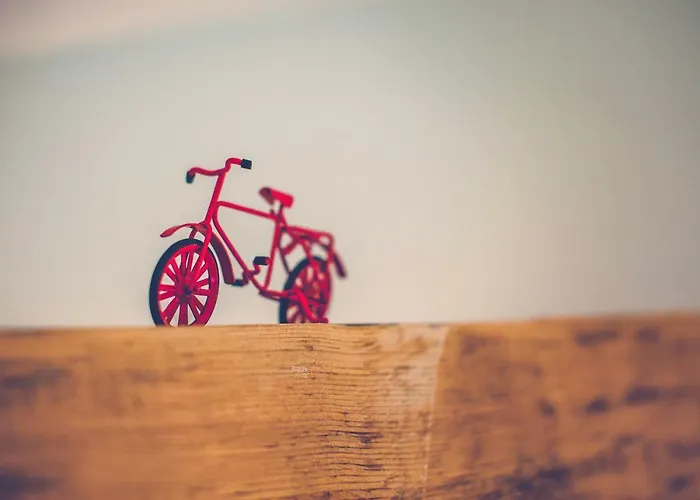 בית חווה Bobrowniki שצ'צ'יטנה (Szczytna)